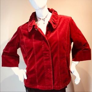 🎊STUNNING Live A Little JACKET (EUC)🎊
